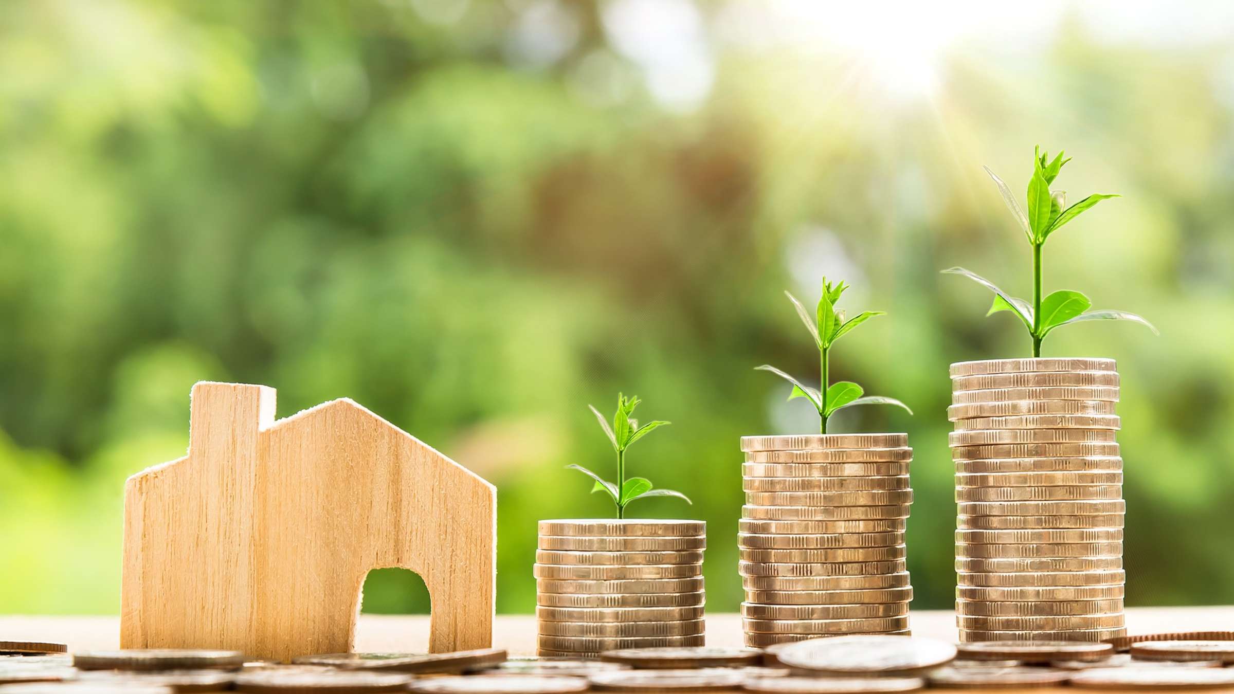 Read more about the article The benefits of self-managing your investment property